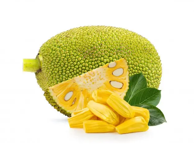 Breadfruit-Vs-Jackfruit