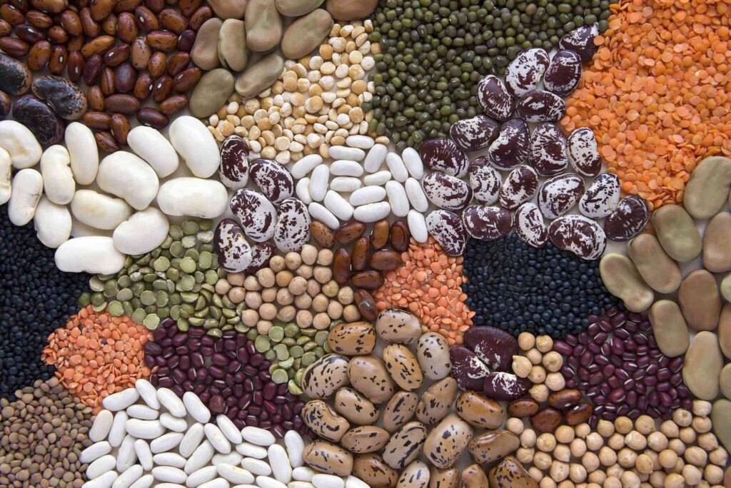 legumes-beans-fiber-protein