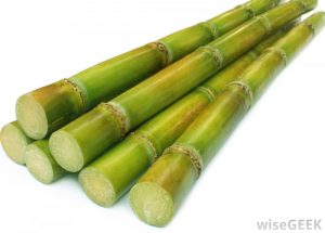 stack-of-sugar-cane-300x215